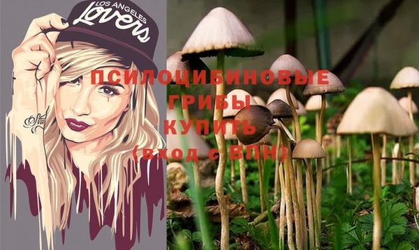 PSILOCYBIN Армянск